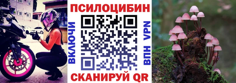 Купить Кушва Псилоцибиновые грибы прущие грибы